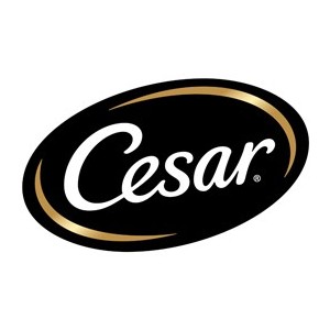 Cesar